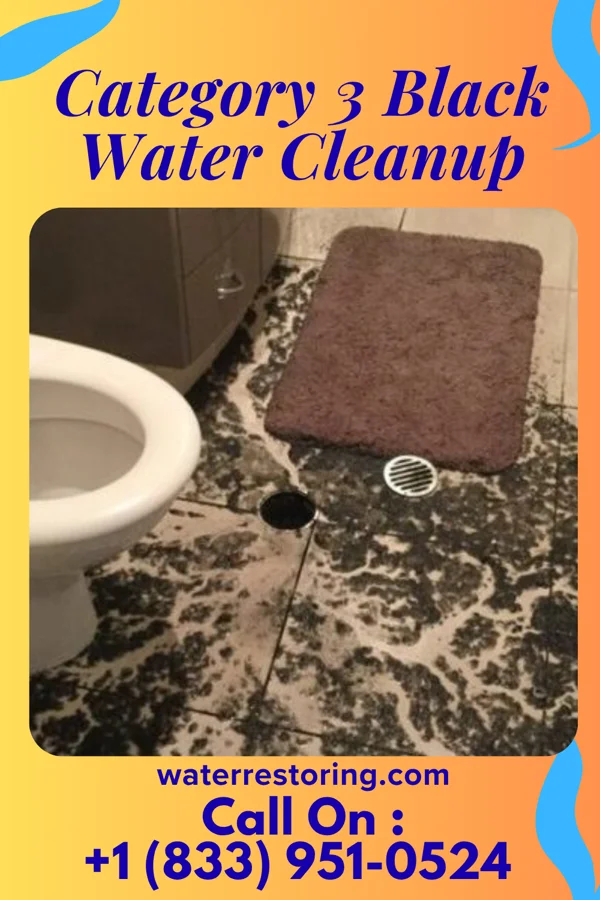 Category 3 Black Water Cleanup in Benton Heights, MI