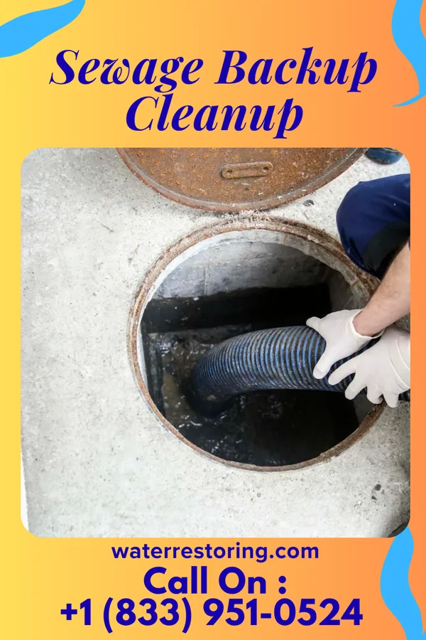 Sewage Backup Cleanup in Benton Heights, MI